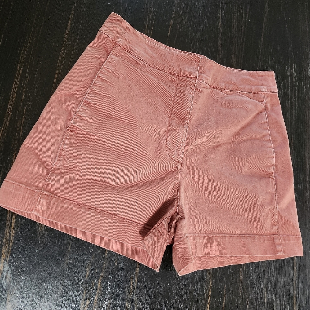 The Group Babaton Rust Color Shorts. Size 4